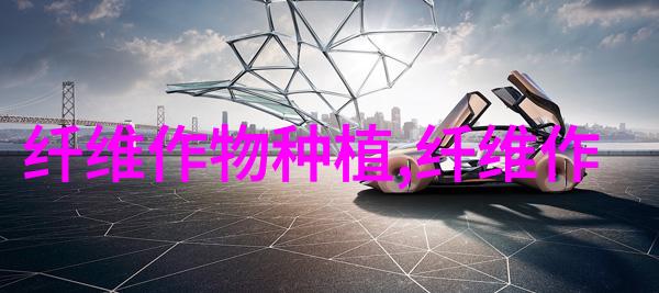 棉花蕾期栽培要点