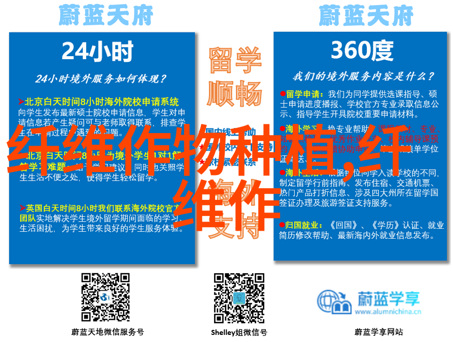 棉花育苗病虫防治技术
