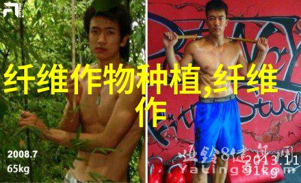 棉花打顶前后如何高效促花结桃