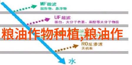 探索花卉苗木行业的秘密从种植到市场的全景揭秘