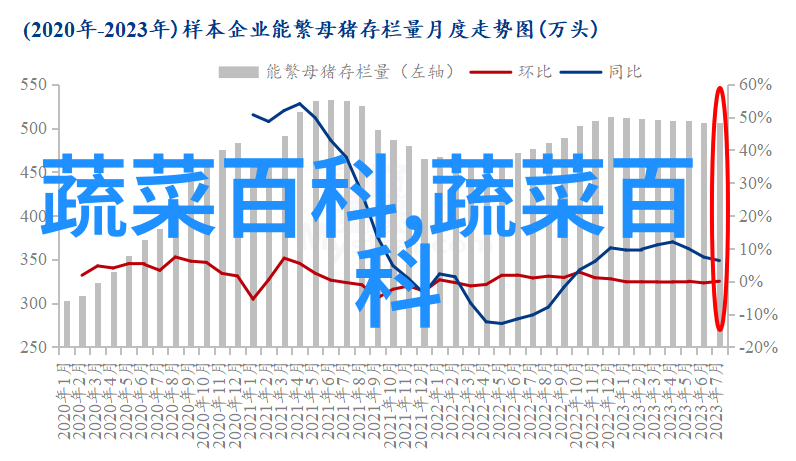 城前越夏西红柿