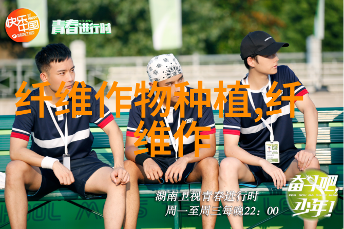棉花营养钵育苗要精心