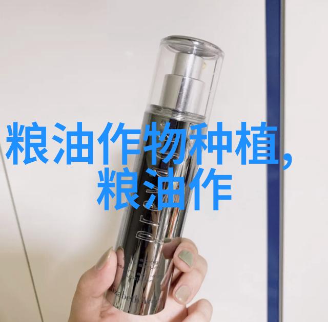 郁金香的地栽种植指南从播种到花期管理