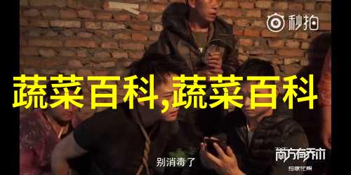 凯里生姜
